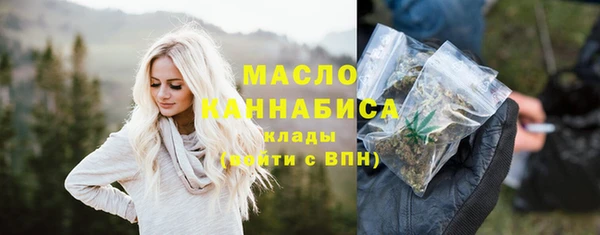 дмт Пестово