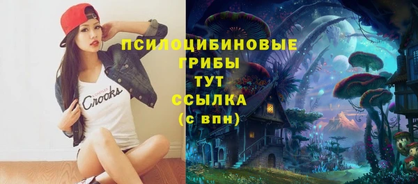 дмт Пестово
