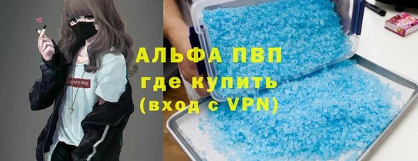 дмт Пестово